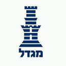 מגדל